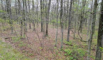 Tract 4 E Pine Road Common, Bloomfield, IN 47424