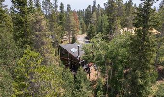 163 LONE HAND Way, Breckenridge, CO 80424