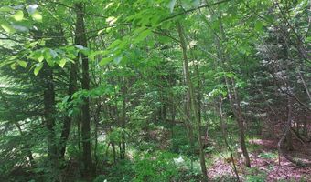 9 Private Road WI-139, Argonne, WI 54511