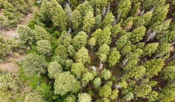 TBD Buckhorn Road, Bellvue, CO 80512