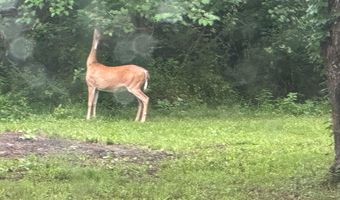 18013 Lawrence 2167, Aurora, MO 65605
