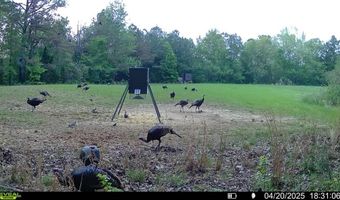 Reeves Road, Ashland, MS 38603