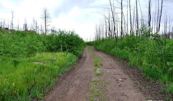 2025 Granite Rd, Bellvue, CO 80512