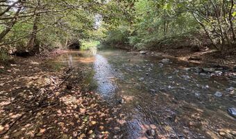 6150 SHOAL CREEK Rd 124+/- Acres, Ashville, AL 35953
