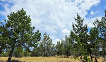 Canvasback Drive 28, Bonanza, OR 97623