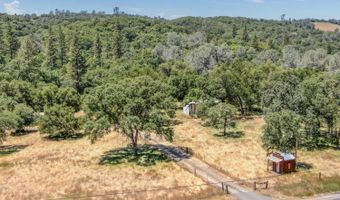 1950 Appaloosa Way, Angels Camp, CA 95222