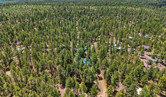 20 County Rd N2120, Alpine, AZ 85920