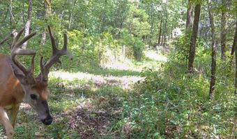 3968 Highway 167, Ash Flat, AR 72513