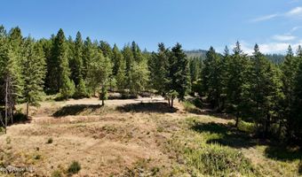 1710 Tower Mountain Rd, Blanchard, ID 83804