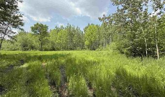 TBD Samuelson Road-Sec22, Angora, MN 55703