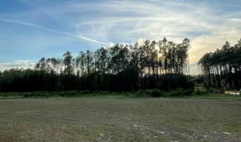 2560 County Road 340, Bell, FL 32619