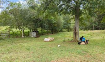8081 Mud Creek Rd, Alto, GA 30510