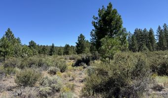 Bufflehead Drive 18, Bonanza, OR 97623
