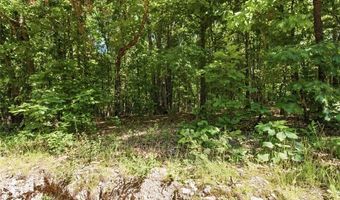 210 County Road 320, Alton, MO 65606
