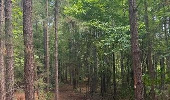 0- Lot 5 Piney Mountain Rd, Appomattox, VA 24522