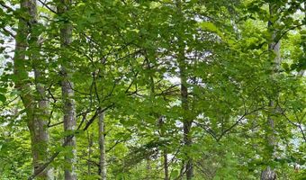 Opah's Drive lot 11, Aitkin, MN 56431