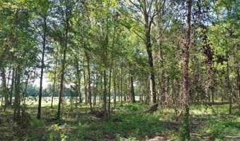 Lot 1a Harris St, Atmore, AL 36502