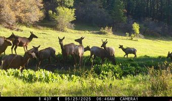 15098 CR 240, Bayfield, CO 81122