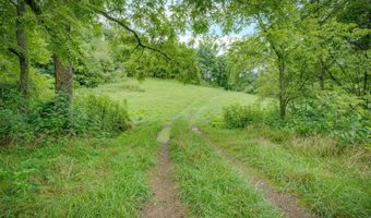1385 Betsy Ross Rd, Afton, TN 37616