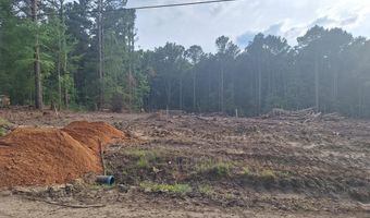 709 Old Pinola Braxton Rd, Braxton, MS 39044