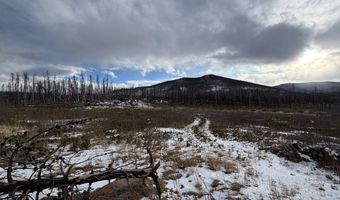 2025 Granite Rd, Bellvue, CO 80512