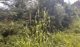 RAILRD RD, Keaau, HI 96749