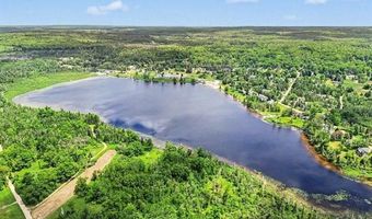 4134 N Weasel Trl, Alcona, MI 48742