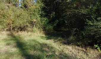 E-S Drive, Braxton, MS 39044