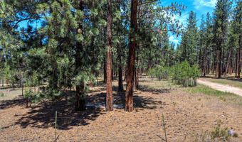 1120 Hole In The Wall Rd, Bonner, MT 59823