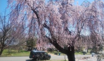 5008 REGINA Dr, Annandale, VA 22003