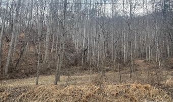 Martins Creek Road, Barnardsville, NC 28709