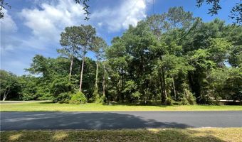 Lot 419 COOPER'S Point, Townsend, GA 31331