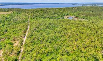 93 Acres Dell Rd, Bainbridge, GA 39819