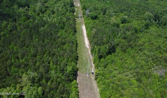Christian Hts Road, Braxton, MS 39044