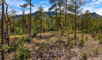 CR 2193, Alpine, AZ 85920