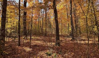 TBD Fishing Site # 2, Amasa, MI 49903