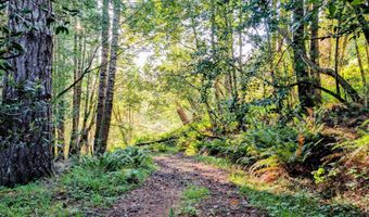 23506 CARPENTERVILLE Rd, Brookings, OR 97415