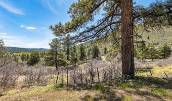 1188 Ludwig Dr, Bayfield, CO 81122