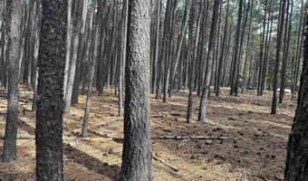 Alamosa Terrace lot 929, Angel Fire, NM 87710