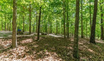 503 County Road 101, Alton, MO 65606