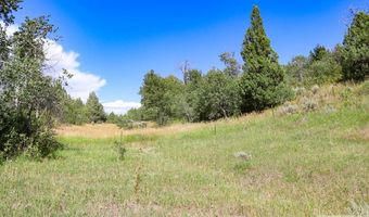 1780 Sadorus Hill Rd, Ashton, ID 83420