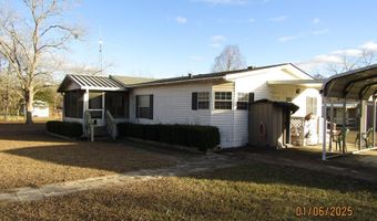 2801 Shady Rd, Baconton, GA 31716