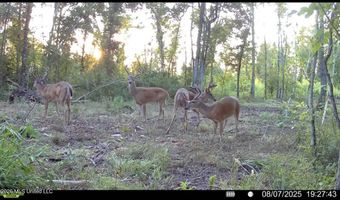 Ms-25, Brandon, MS 39047