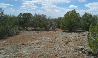 74 Co Rd, Concho, AZ 85924
