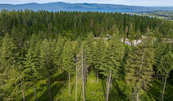 16 Bridle Ct, Bigfork, MT 59911