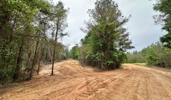 3 County Road 5112, Ethel, MS 38829