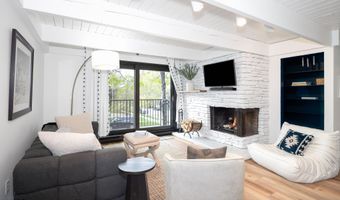 901 E Hyman Ave 4, Aspen, CO 81611