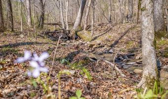 163 Acres Duck Springs Rd, Attalla, AL 35954