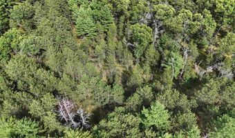 5 6 Acres 16th Ave Lot 3, Arkdale, WI 54613