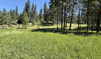 93 E Prospectors, Cascade, ID 83611
